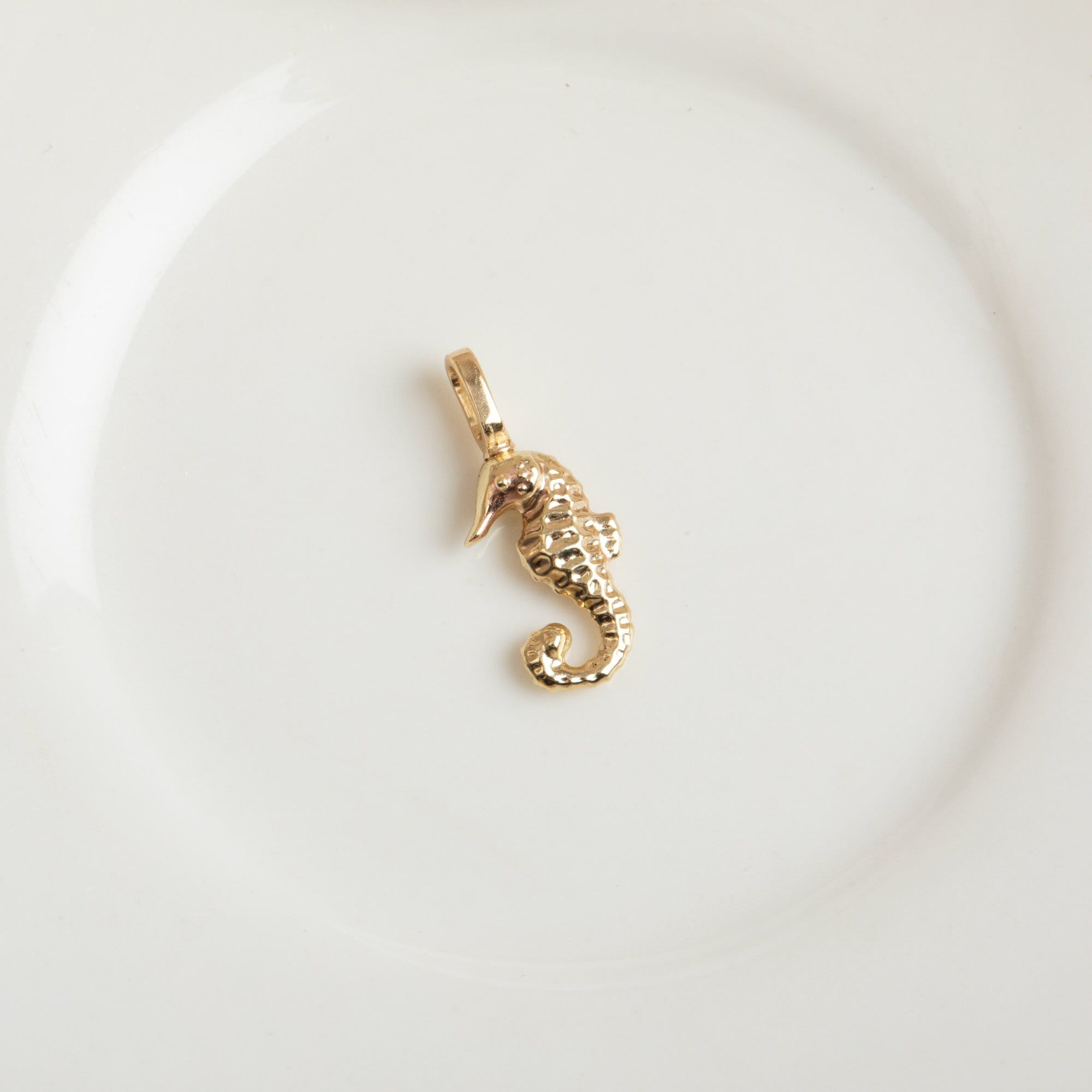 14K Real Solid Gold Seahorse Cremation Urn Pendant, Necklace for Ashes, Ocean Lover Jewelry, Dainty Sea Animal Gift, Memorial Tiny Keepsake