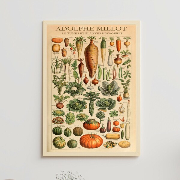 Adolphe Millot Print to Download - Vintage Legumes Poster- Botanical Print - Adolphe Millot Digital Download  - Adolphe Millot Print