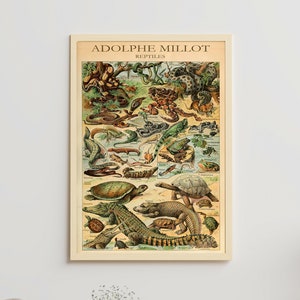 Adolphe Millot Print to Download - Vintage Reptiles Poster - Animal Vintage Prints - Adolphe Millot Digital Download - Adolphe Millot Print