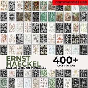 Ernst Haeckel Poster, Haeckel Art Print, Haeckel Wandkunst, Seaside Style, Biologie Poster, wissenschaftliche Kunst