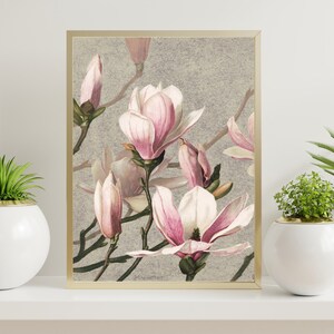 Vintage Magnolia, Botanical Print, Magnolia Print, Antique Floral Print, Farmhouse Decor, Digital Download