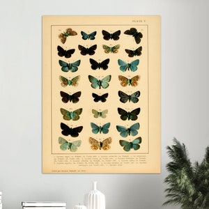 Butterfly Poster, Butterfly Print, Vintage Butterfly Print, Butterfly Poster Digital Download, Vintage Butterfly Poster, Butterfly Prints