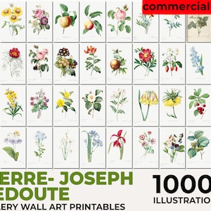 Les Roses, Pierre Joseph Redouté Botanical, Vintage Flower Print, Botanical Illustration