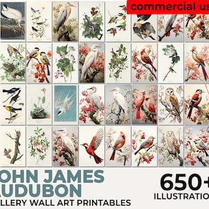 John Audubon Gallery Wall Art Mega Bundle, Brids Poster, Museum Exhibition Printable Vintage Home Decor, Instant Digital Download