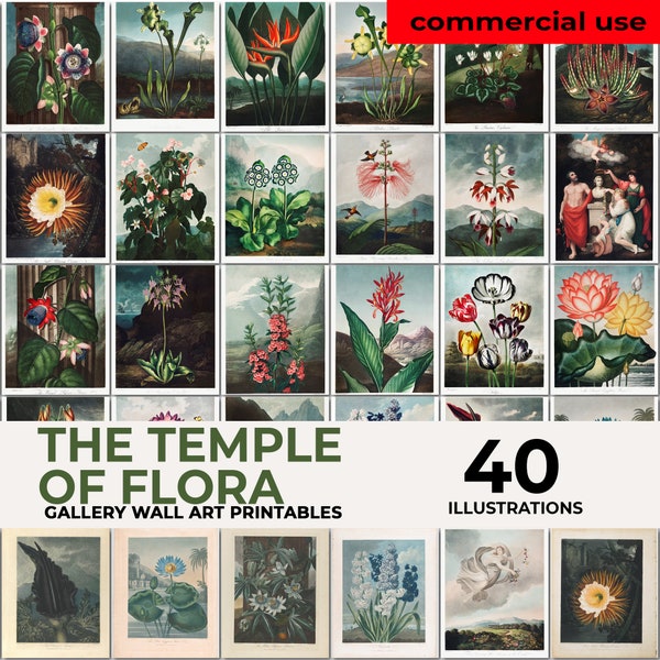 Flower Prints Set de 40, Robert John Thornton, Temple of Flora Print, Robert Thornton Gallery Wall