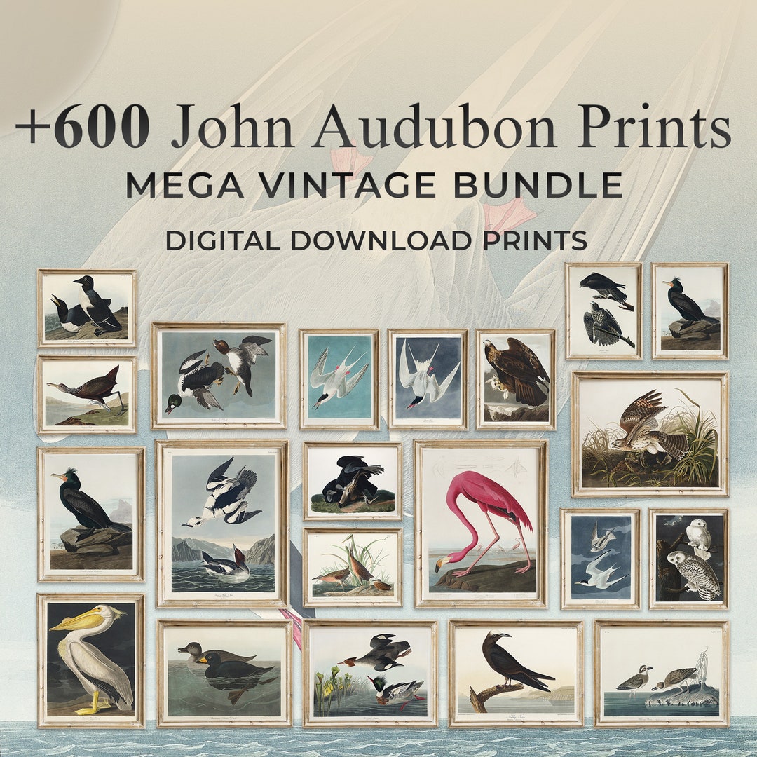 Audubon Gallery Wall Set 600, Mega Bundle Set, John Audubon, Eclectic
