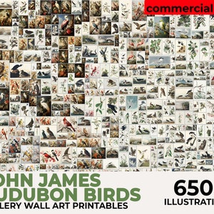 John Audubon Gallery Wall Art Mega Bundle, Brids Poster, Museum Exhibition Printable Vintage Home Decor, Instant Digital Download