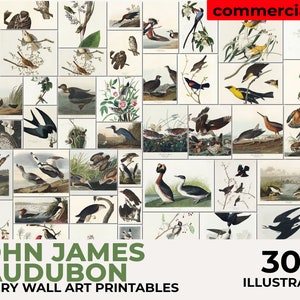 John Audubon Gallery Wall Art Set, Brids Poster, Museumtentoonstelling Afdrukbaar Vintage Home Decor, Instant Digitale Download