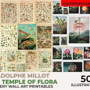 Cartel de Millot, Impresión de Adolphe Millot, Robert John Thornton, Impresión de Adolphe Millot, Cartel de setas, El templo de la flora