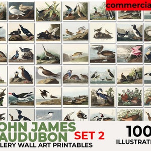 John Audubon Gallery Wall Art Set 2, Brids Poster, Museum Exhibition Printable Vintage Home Decor, Instant Digital Download