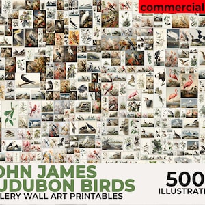 John Audubon Gallery Brids Wall Art Mega Bundle, Brids Poster, Museumtentoonstelling afdrukbare Vintage Home Decor, Instant Digitale Download
