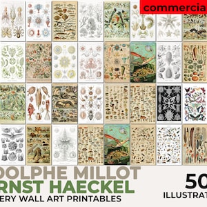 Cartel de Millot, impresión de Ernst Haeckel, impresión de arte de Adolphe Millot, descarga digital de Adolphe Millot, cartel de setas, carteles educativos