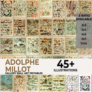 Adolphe Millot Set de 45, Adolphe Millot, Impresiones de Adolphe Millot, Descarga digital de Adolphe Millot, Impresión de identificación de hongos
