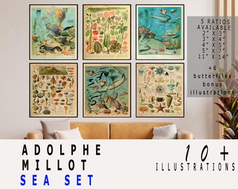 Adolphe Millot Print to Download, Adolphe Millot Set, Vintage Ocean Poster Art Print, Adolphe Millot Oceans, Adolphe Millot Download