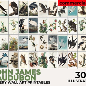 John Audubon Gallery Wall Art Set, Brids Poster, Museum Exhibition Printable Vintage Home Decor, Instant Digital Download