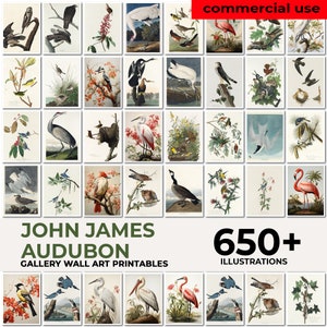 John Audubon Gallery Wall Art Mega Bundle, Brids Poster, Museumtentoonstelling Afdrukbaar Vintage Home Decor, Instant Digitale Download