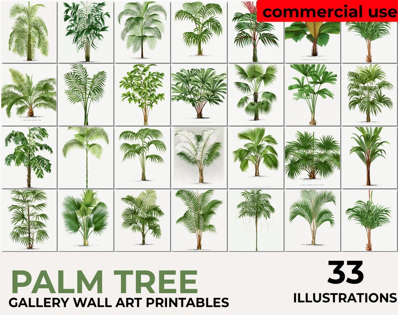 Botanical Printable Set of 33 : Botanical Art and Floral - Etsy
