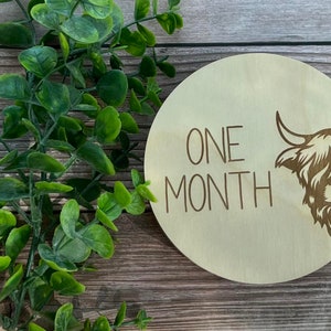 Highland vaca hito tarjeta SVG