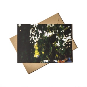Leaves Vein Postcard - Nature Photography, 5 x 7 inches Matte Finish Postcard, Floral Wall Art