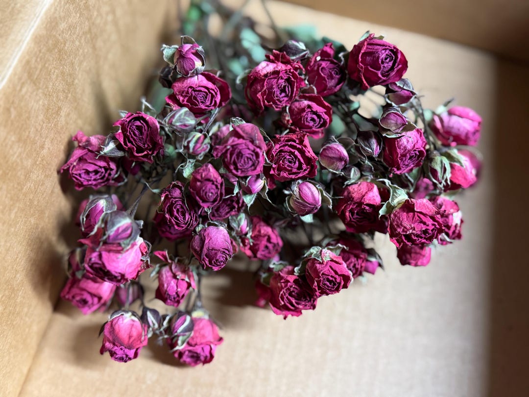 Rustic Air Dried Roses: Tiny Red-pink Floral Decor, Craft Supplies ...