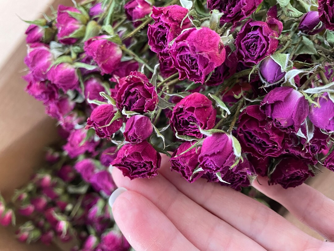 Air Dried Tiny Pink Roses: Rustic Floral Decor, Crafts (25pcs) - Etsy