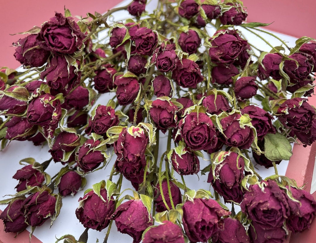 Air Dried Dark Pink Roses on Very Short Stems, TINY Roses, Rustic Dried ...