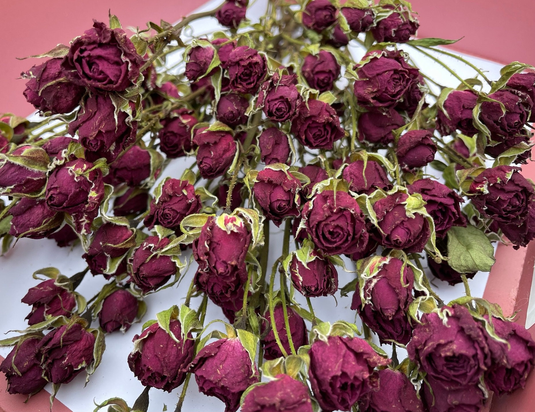 Air Dried dark pink Roses on very short Stems, TINY Roses, Rustic Dried Flowers for CRAFT, Home Floral Decor, 25ps Rosehead 0.5-0.7 inch