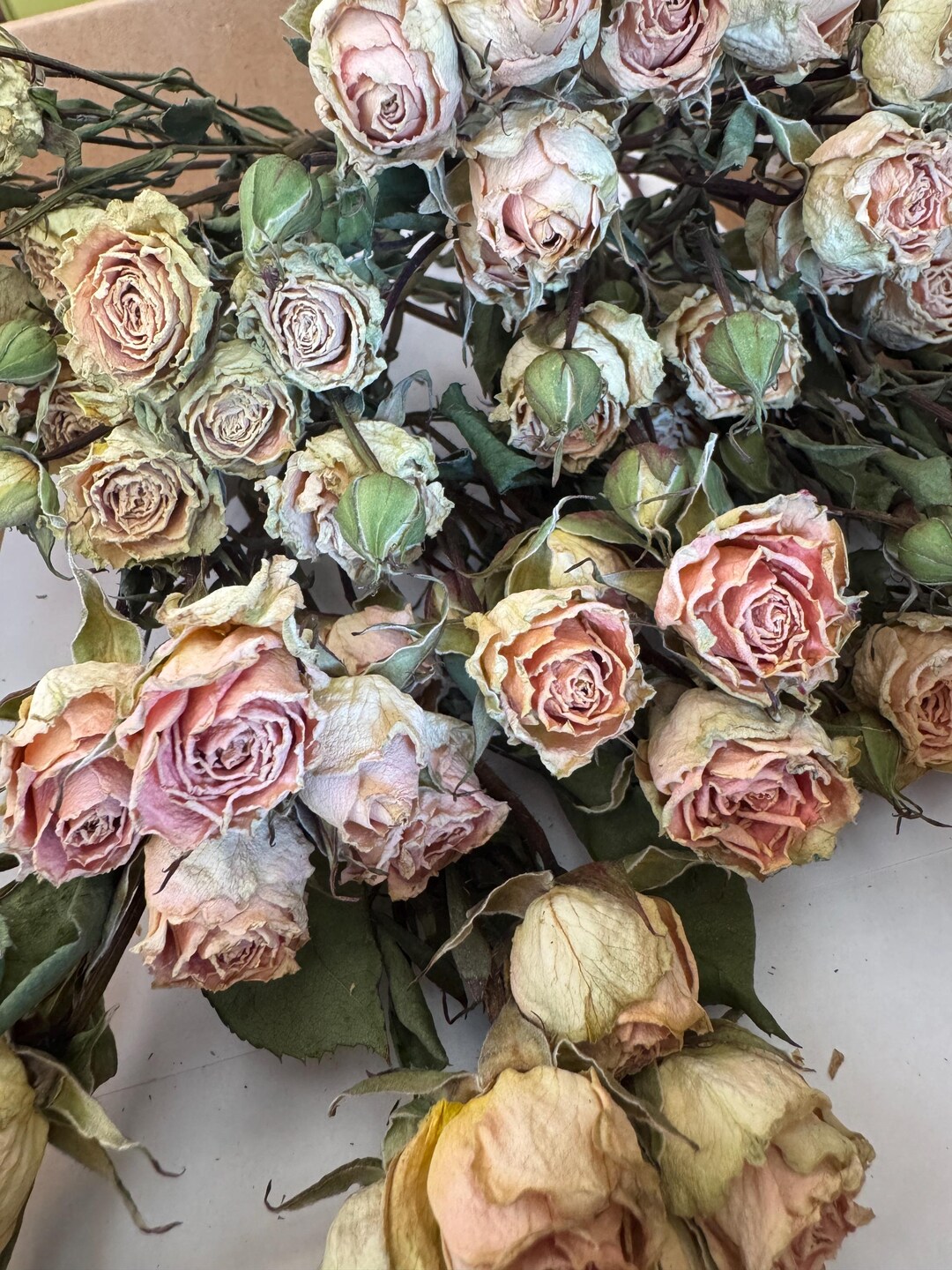 Air Dried Roses on Short Stems, 25pcs. TINY Light Pink Dry Roses ...