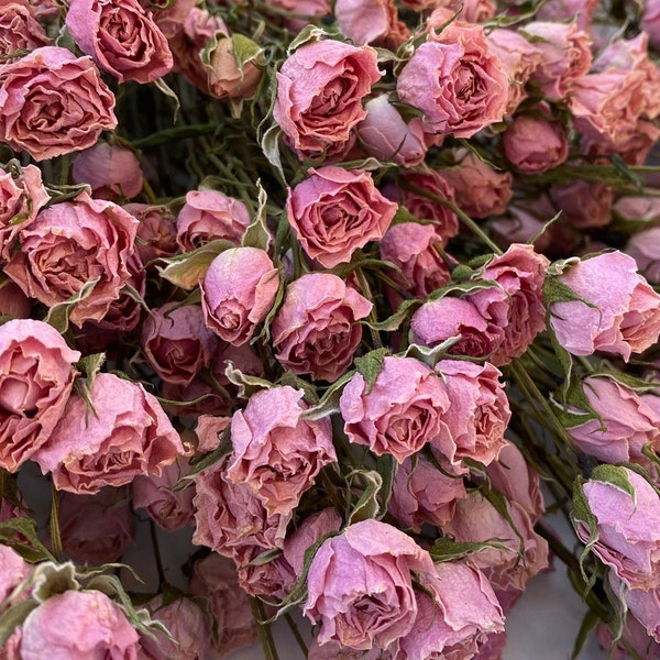 Air Dried Roses on Short Stems, 25pcs. TINY Pink Dry Roses. Rustic Flowers, Home Floral Decor, Craft Supplies. Rosehead 0.4-0.7 inch TINY!!!