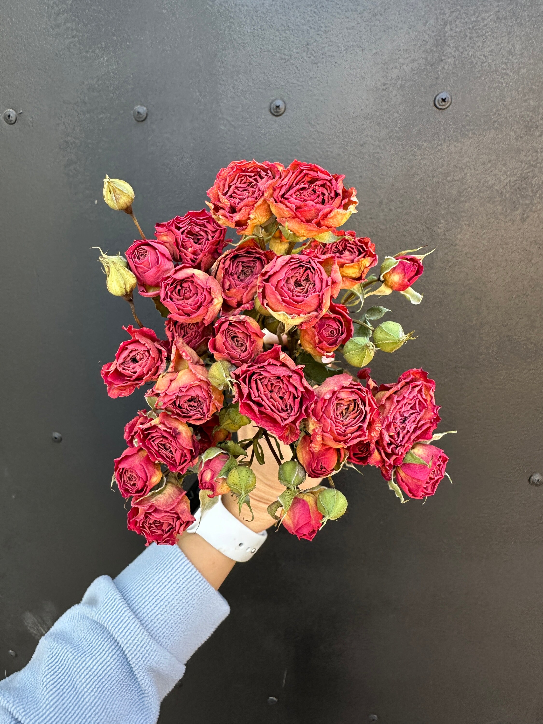 Air Dried Roses on Short Stems, 25pcs, Rustic Flowers, Tiny Orange ...