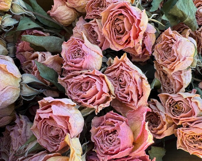 25 Tiny Air Dried Pink Roses: Rustic Floral Craft Supply - Etsy