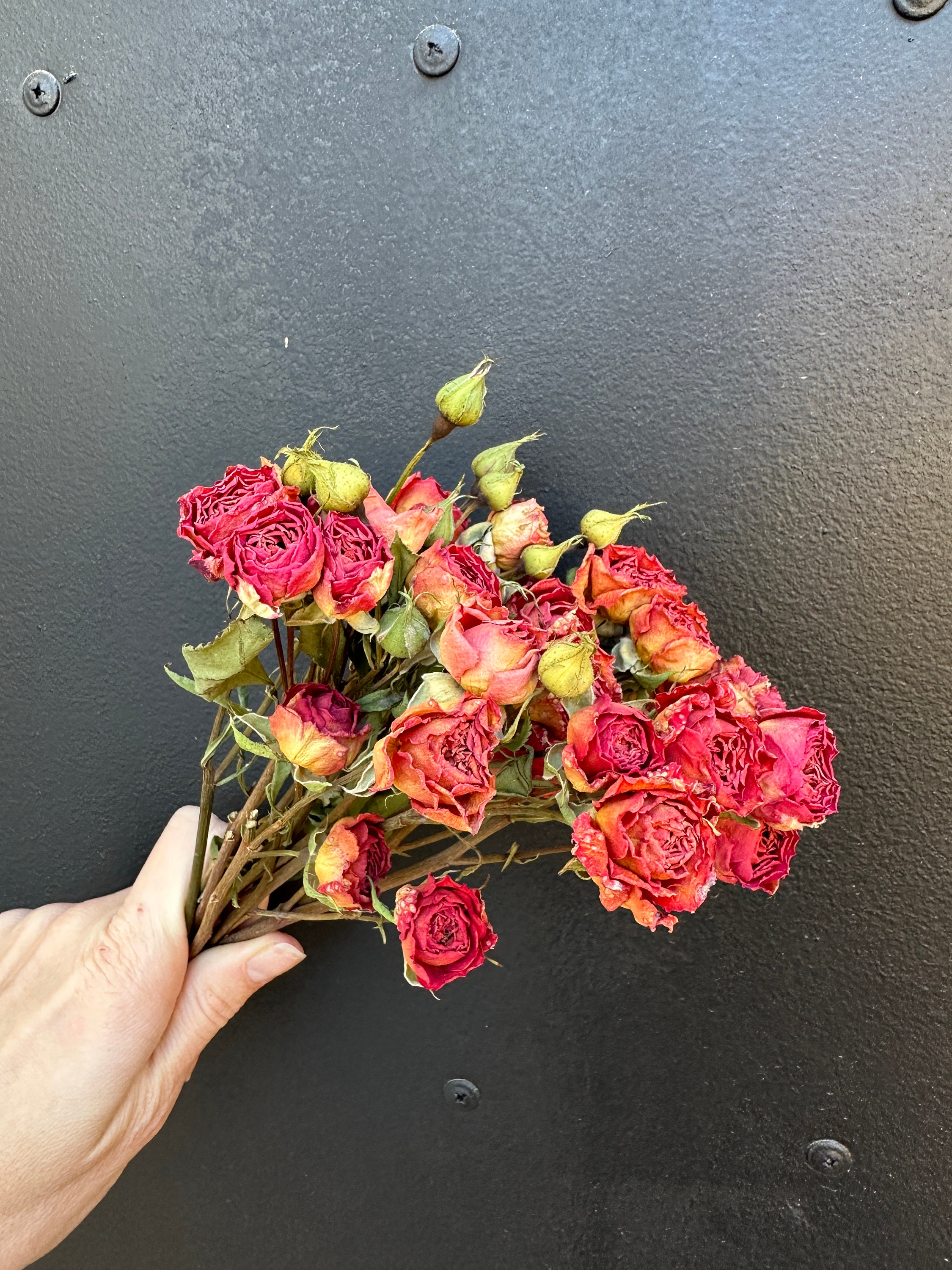 Air Dried Roses on Short Stems, 25pcs, Rustic Flowers, Tiny Orange ...
