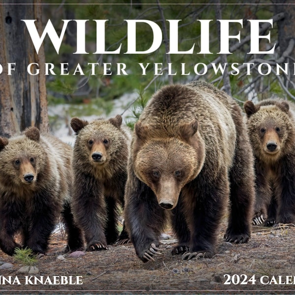 2024 Wall Calendar - Wildlife of Greater Yellowstone - National Parks Nature Photography - Grand Teton & Jackson Hole, Wyoming