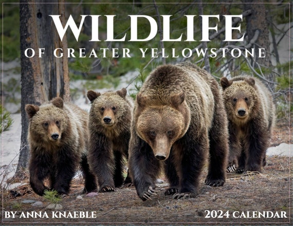 Animal Tracks of Yellowstone & Grand Teton Bandana | Face Cover