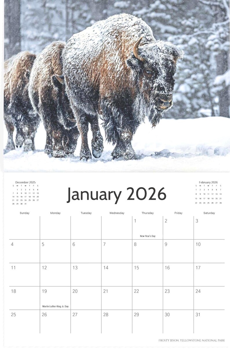 2026 Calendar - Wildlife of Greater Yellowstone - National Parks