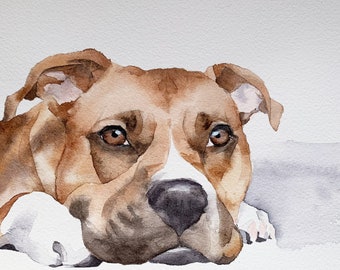 Pet Painting, Custom Pet Portrait, Watercolor Pet Portrait, Custom Dog Portrait, Dog Art, Dog Watercolor, Hand Painted Pet Portrait