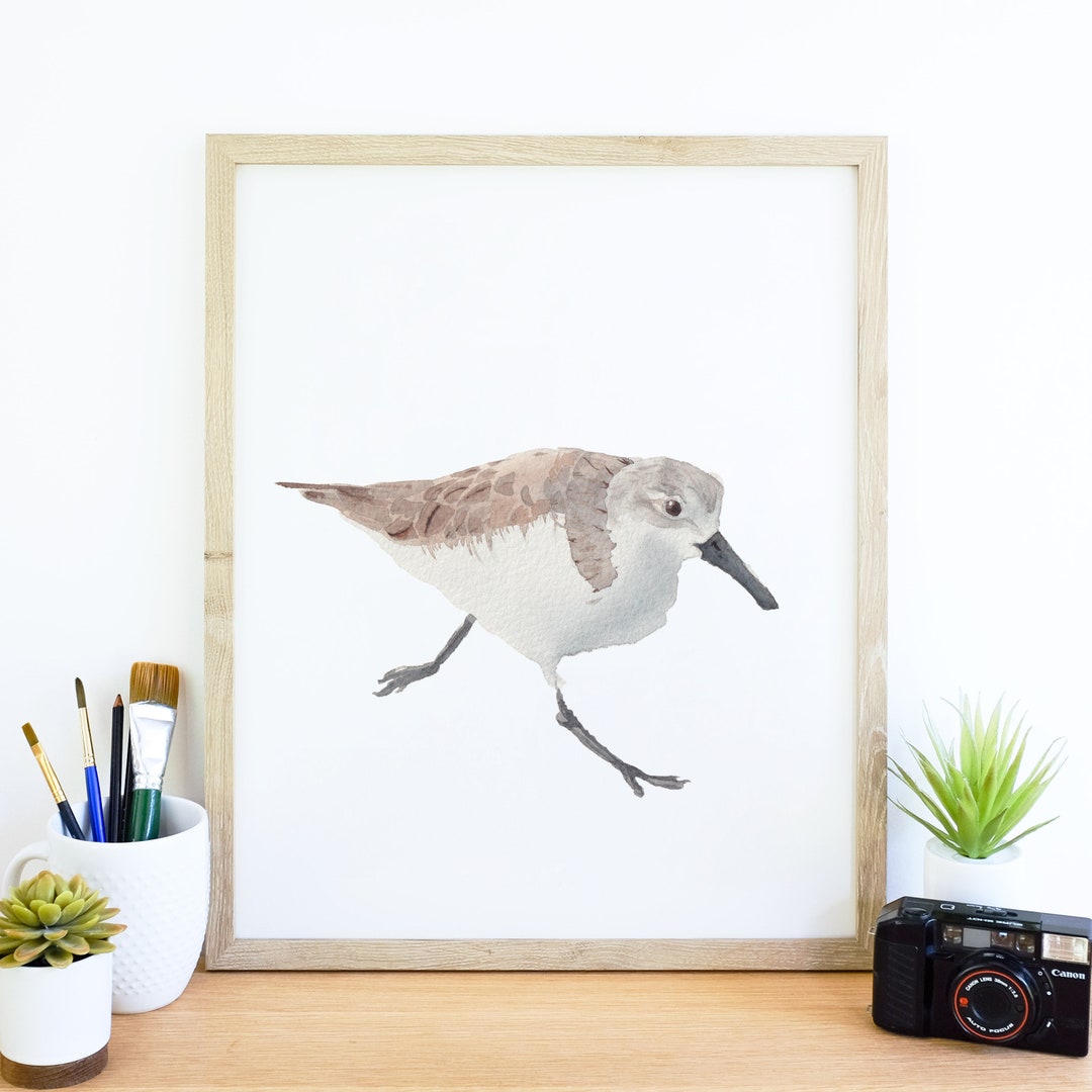 Beach Bird Wall Art Print, Sandpiper Digital Download, Bird Printable