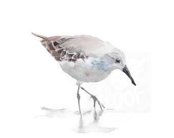 Sandpiper Watercolor Digital Print, Sea Bird Art, Beach House Art
