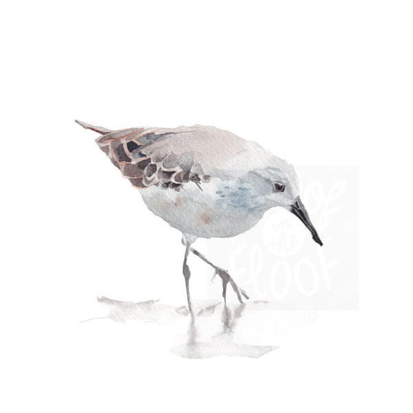 Sandpiper Watercolor Digital Print, Sea Bird Art, Beach House Art