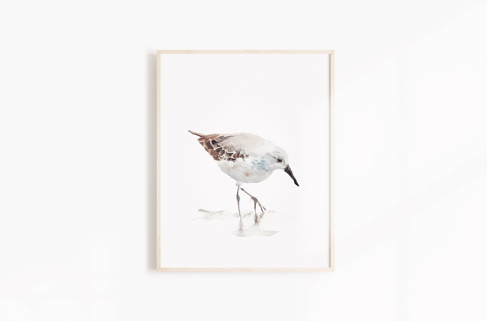 Beach Bird Digital Print Sandpiper Watercolor Sea Bird Art Etsy