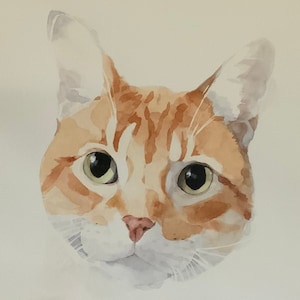 Cat Portrait Art, Personalized Gift, Custom Pet Art, Custom Cat Art