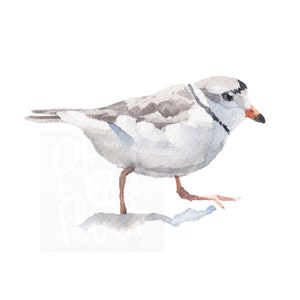 Digitale print strandvogel, waterpasplevier aquarel zeevogel, afdrukbare digitale download, strandhuiskunst, kustvogelkunst
