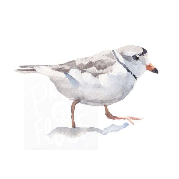 Beach Bird Digital Print, Piping Plover Watercolor Sea Bird, Printable Digital Download, Beach House Art, Shore Bird Art