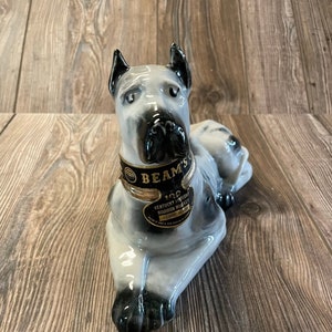 Beams new arrivals for dogs