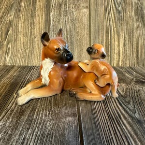 Beautiful Vintage Napcowear Brown Mother Boxer Dog with Puppy Bone China in Excellent Condition