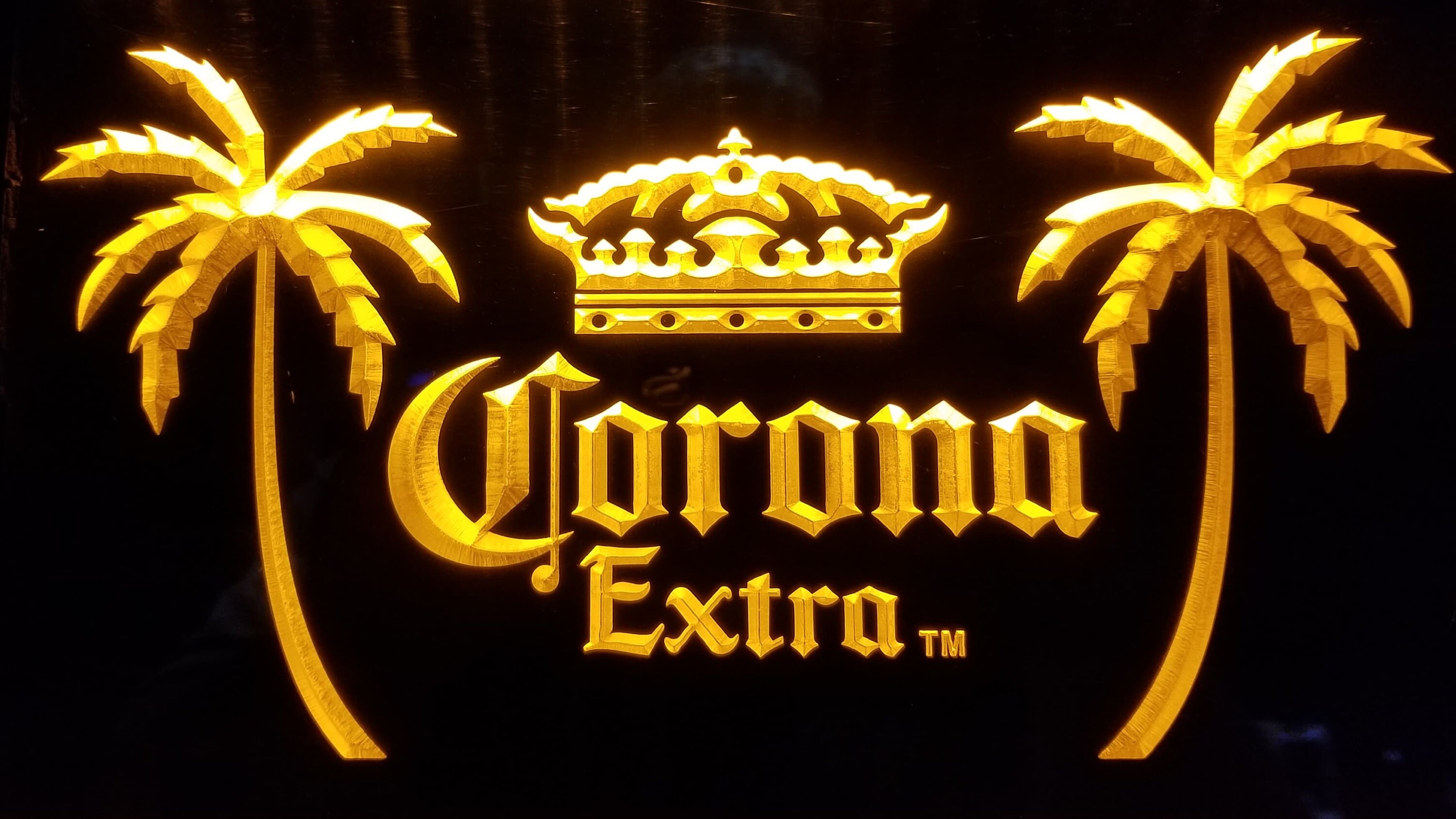 Corona Christmas Palm Tree