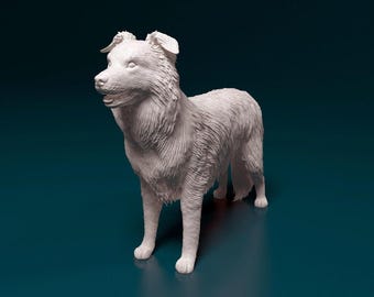 SWD001 Border Collie Standing