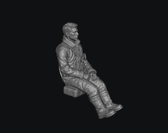 SW1154 WW2 RAF Pilot B