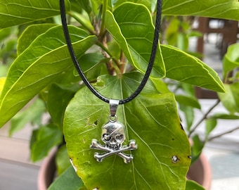 Colgante de cráneo y huesos de plata
