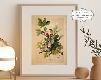 Vintage Audubon vogels print, vintage vogel afdrukbare, Amerikaanse robin vogel print, vogel kunst decor